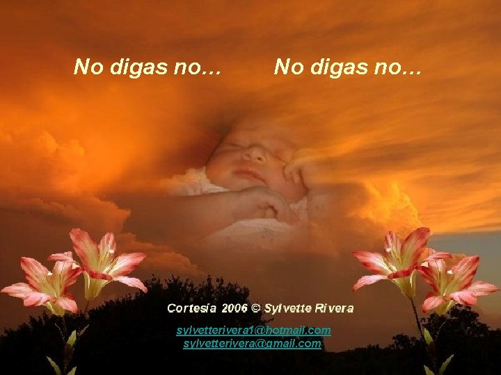 No digas no… sylvetterivera 1@hotmail. com sylvetterivera@gmail. com No digas no… sylvetterivera 1@hotmail. com sylvetterivera@gmail. com