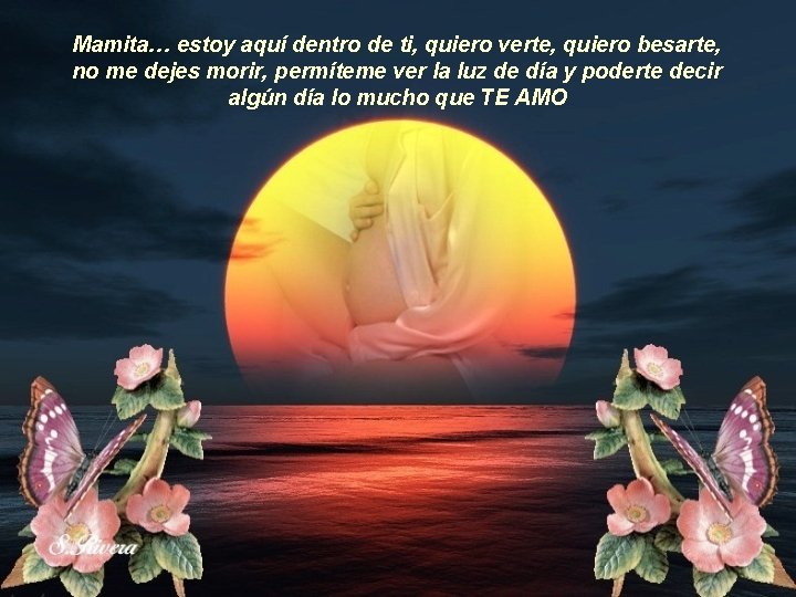 Mamita… estoy aquí dentro de ti, quiero verte, quiero besarte, no me dejes morir, Mamita… estoy aquí dentro de ti, quiero verte, quiero besarte, no me dejes morir,