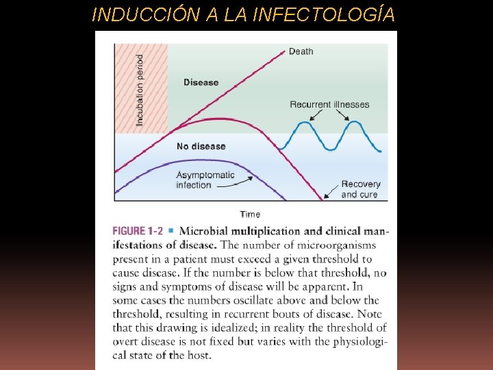 INDUCCIÓN A LA INFECTOLOGÍA 