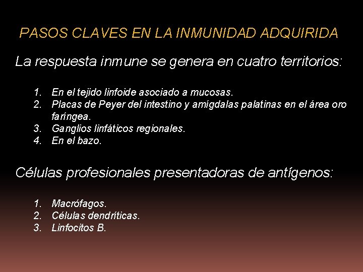 PASOS CLAVES EN LA INMUNIDAD ADQUIRIDA La respuesta inmune se genera en cuatro territorios: