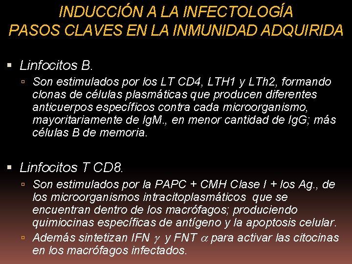 INDUCCIÓN A LA INFECTOLOGÍA PASOS CLAVES EN LA INMUNIDAD ADQUIRIDA Linfocitos B. Son estimulados