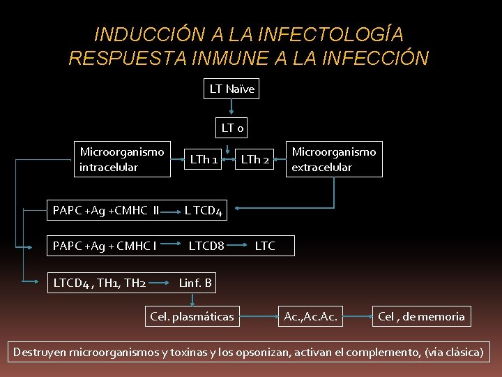 INDUCCIÓN A LA INFECTOLOGÍA RESPUESTA INMUNE A LA INFECCIÓN LT Naïve LT 0 Microorganismo