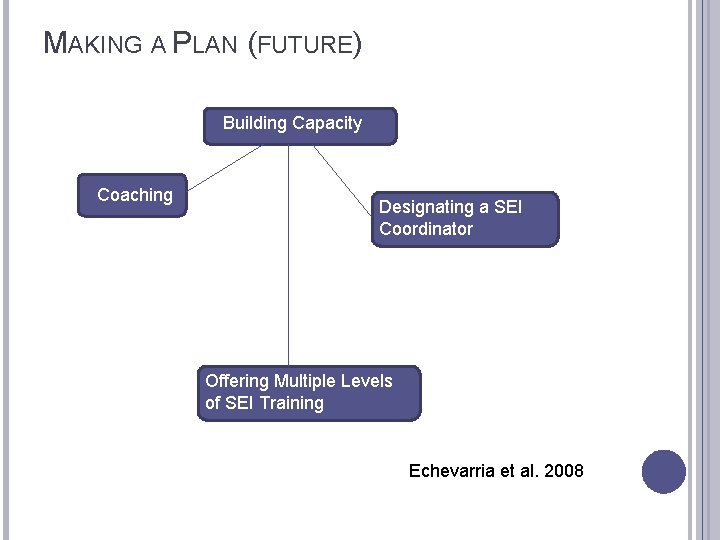 MAKING A PLAN (FUTURE) Building Capacity Coaching Designating a SEI Coordinator Offering Multiple Levels