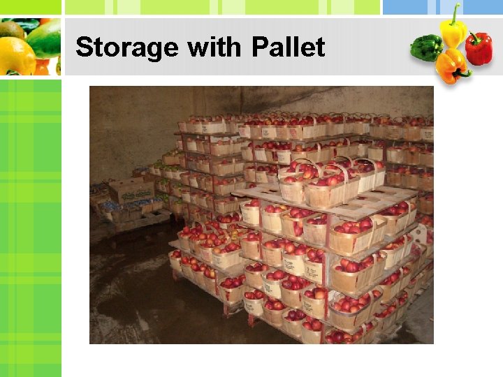 Storage with Pallet 