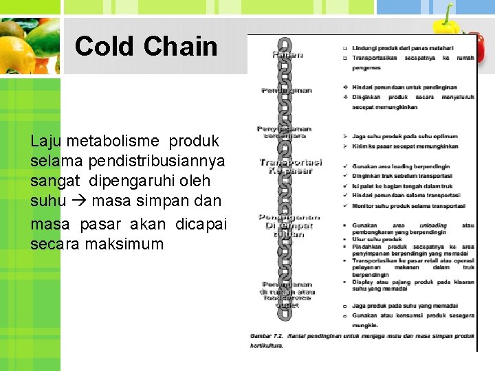 Cold Chain Laju metabolisme produk selama pendistribusiannya sangat dipengaruhi oleh suhu masa simpan dan