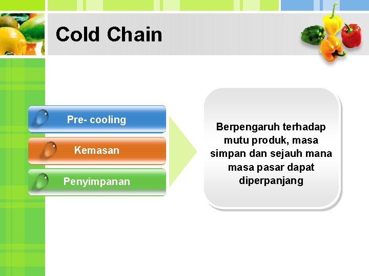 Cold Chain Pre- cooling Kemasan Penyimpanan Berpengaruh terhadap mutu produk, masa simpan dan sejauh