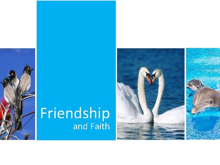 Friendship and Faith 