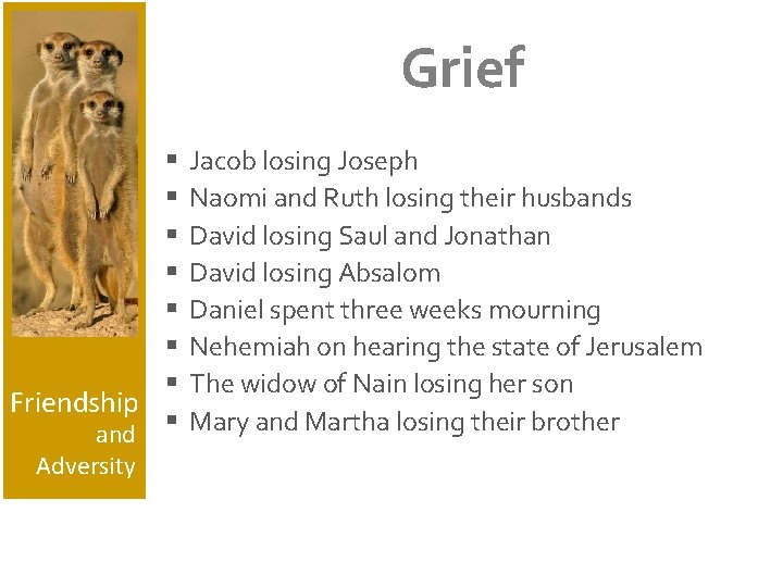 Grief § § § § Friendship and § Adversity Jacob losing Joseph Naomi and