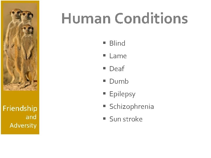 Human Conditions § Blind § Lame § Deaf § Dumb § Epilepsy Friendship and