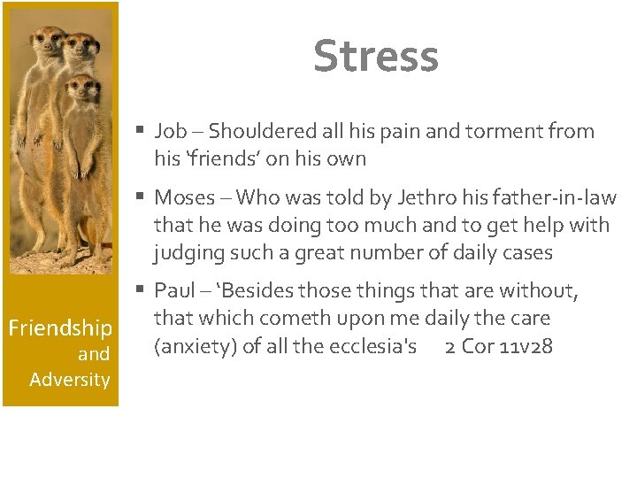 Stress § Job – Shouldered all his pain and torment from his ‘friends’ on