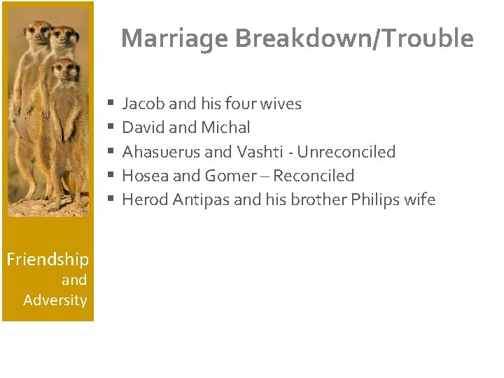 Marriage Breakdown/Trouble § § § Friendship and Adversity Jacob and his four wives David