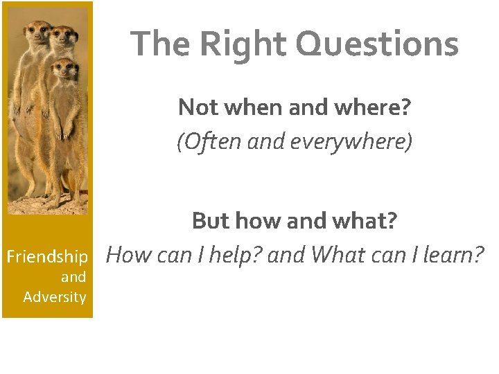 The Right Questions Not when and where? (Often and everywhere) Friendship and Adversity But