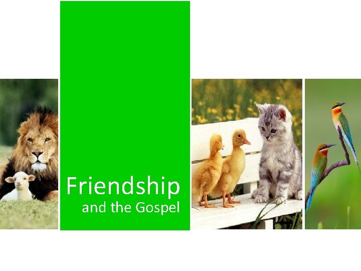 Friendship and the Gospel 