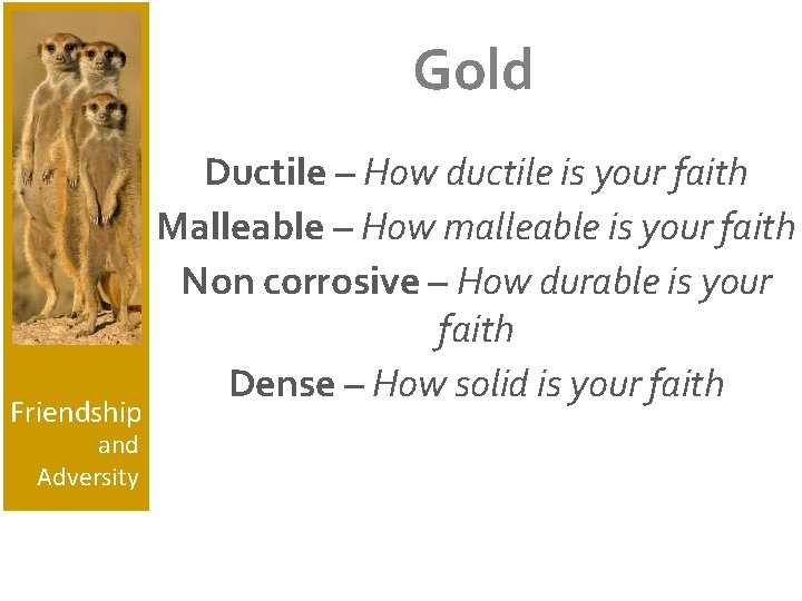 Gold Friendship and Adversity Ductile – How ductile is your faith Malleable – How