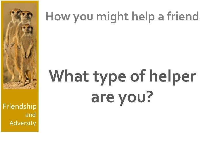 How you might help a friend Friendship and Adversity What type of helper are