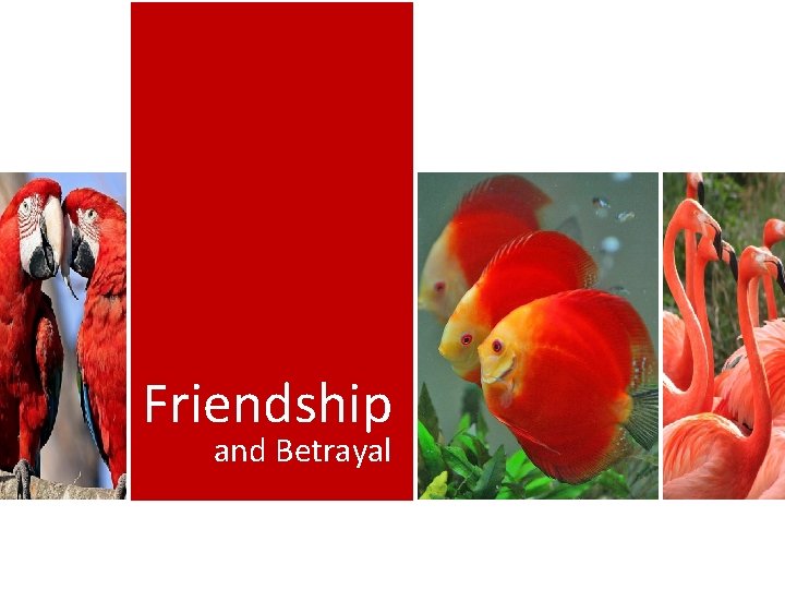 Friendship and Betrayal 