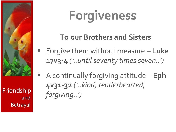 Forgiveness To our Brothers and Sisters § Forgive them without measure – Luke 17