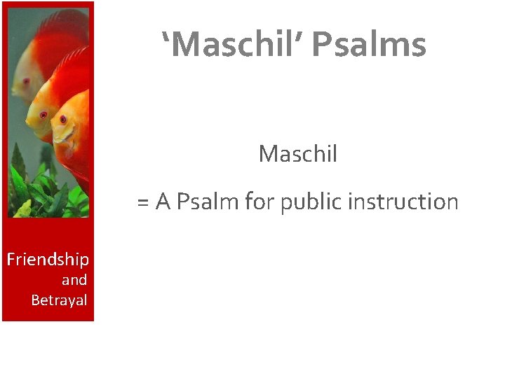 ‘Maschil’ Psalms Maschil = A Psalm for public instruction Friendship and Betrayal 