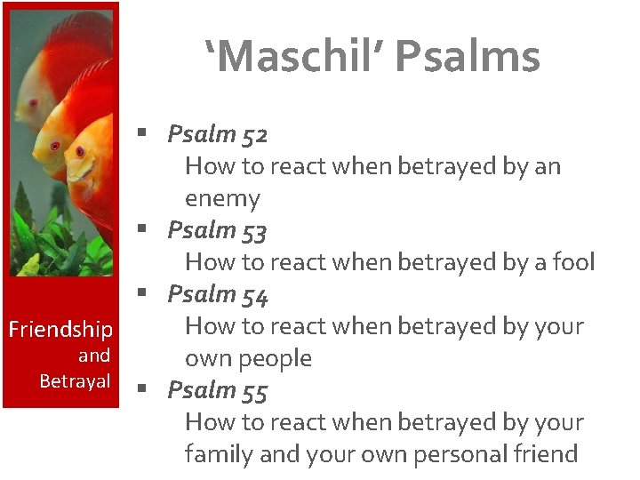 ‘Maschil’ Psalms § Psalm 52 How to react when betrayed by an enemy §