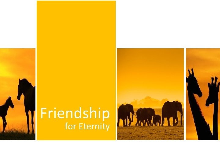 Friendship for Eternity 