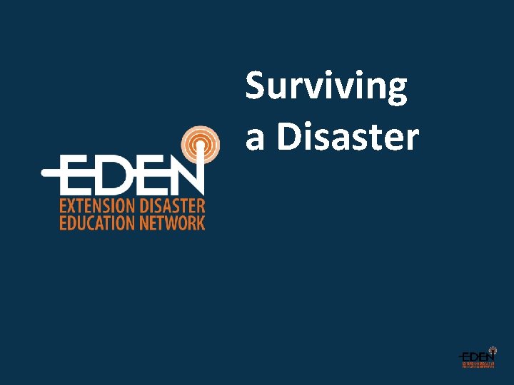 Surviving a Disaster 