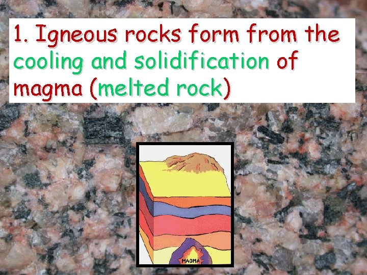 1. Igneous rocks form from the cooling and solidification of magma (melted rock) 