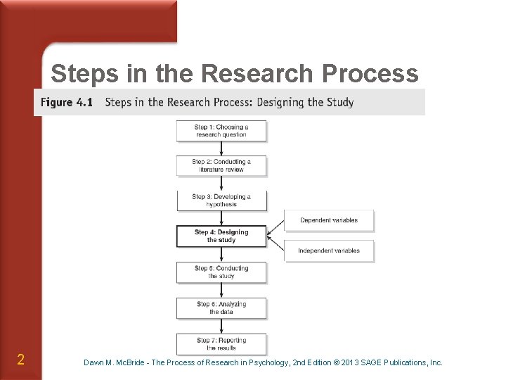 Steps in the Research Process 2 Dawn M. Mc. Bride - The Process of