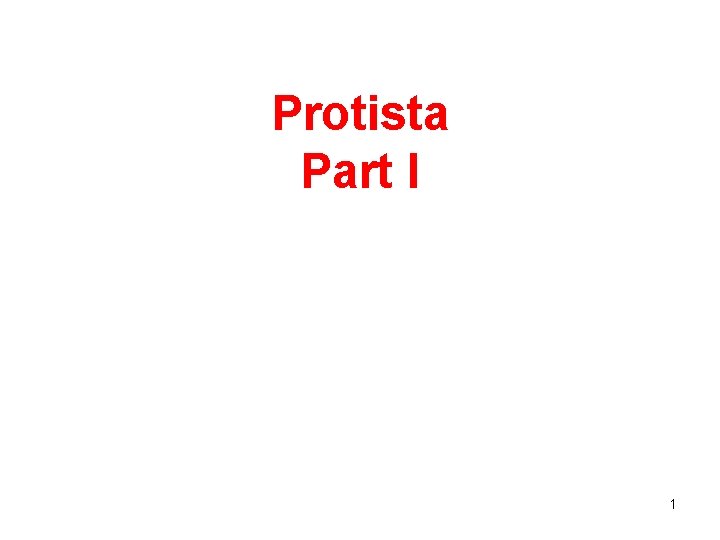 Protista Part I 1 