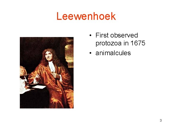 Leewenhoek • First observed protozoa in 1675 • animalcules 3 