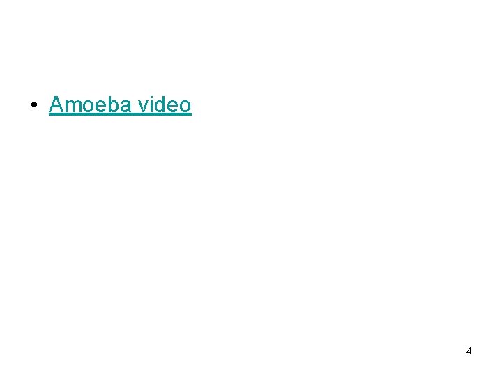  • Amoeba video 4 