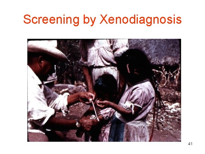 Screening by Xenodiagnosis 41 