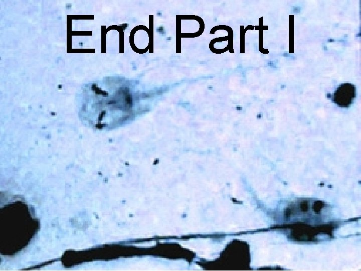 End Part I 48 