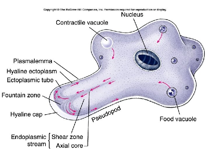 Fig. 11. 4 9 