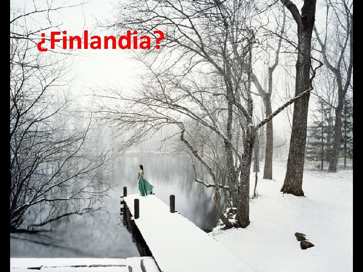 ¿Finlandia? 