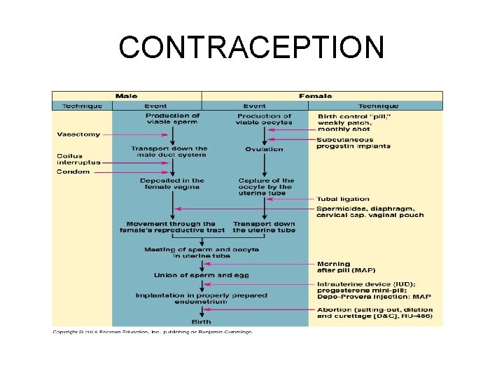 CONTRACEPTION 