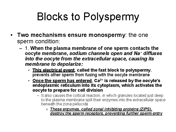 Blocks to Polyspermy • Two mechanisms ensure monospermy: the one sperm condition: – 1.