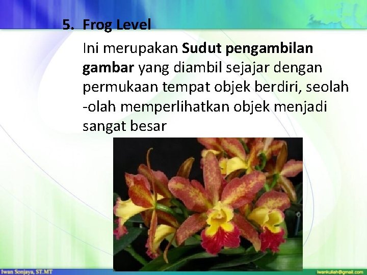 5. Frog Level Ini merupakan Sudut pengambilan gambar yang diambil sejajar dengan permukaan tempat