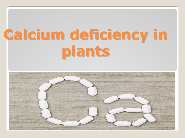 Calcium deficiency in plants 