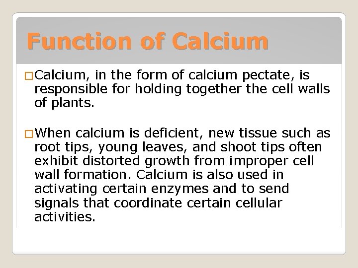 Function of Calcium �Calcium, in the form of calcium pectate, is responsible for holding