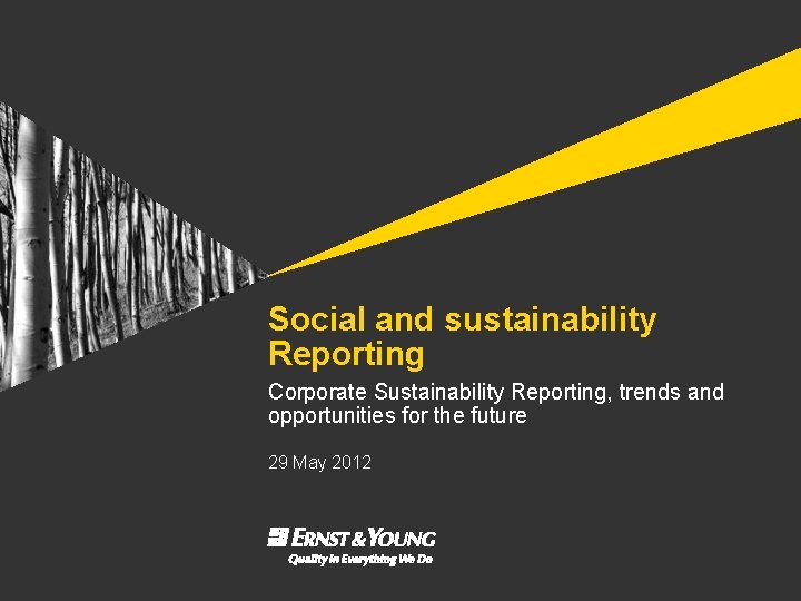 Social and sustainability Reporting Corporate Sustainability Reporting, trends and opportunities for the future 29
