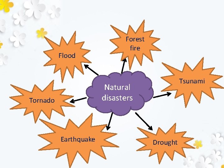 Flood Forest fire Tsunami Natural disasters Tornado Earthquake Drought 