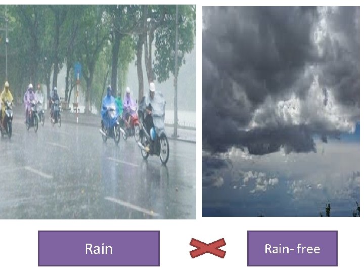 Rain- free 