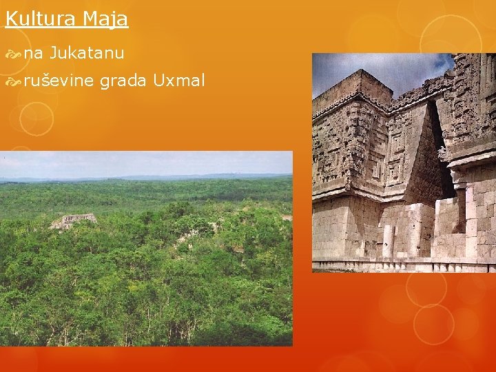 Kultura Maja na Jukatanu ruševine grada Uxmal 