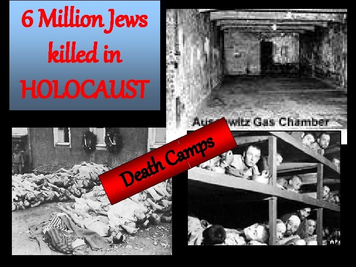 6 Million Jews killed in HOLOCAUST D C h eat s p am 