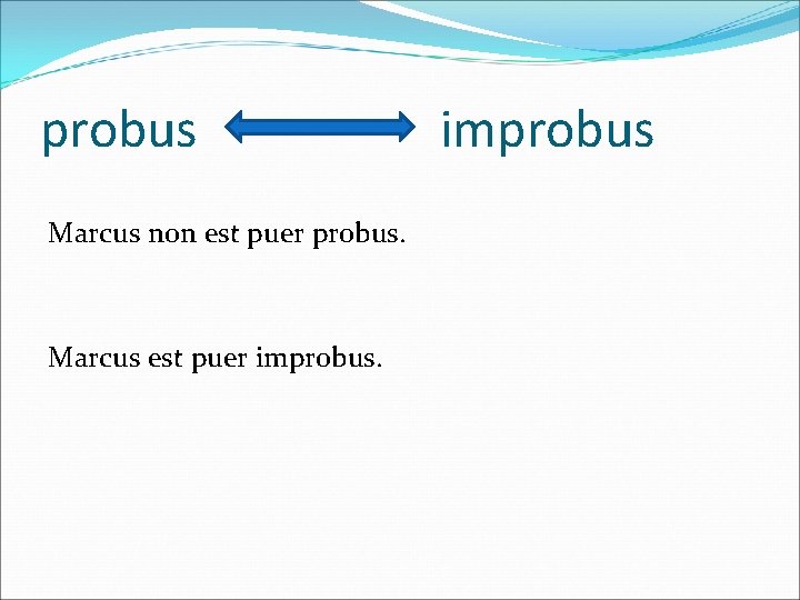probus Marcus non est puer probus. Marcus est puer improbus 