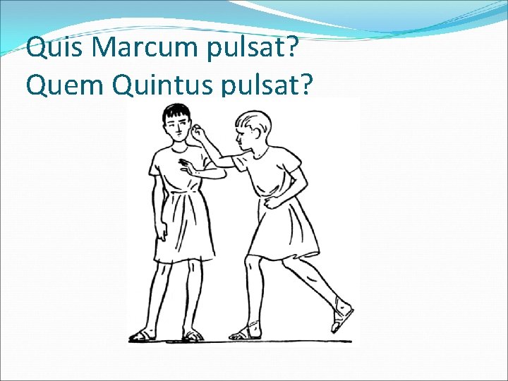 Quis Marcum pulsat? Quem Quintus pulsat? 