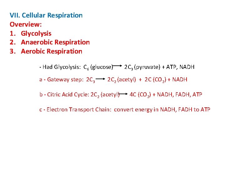 VII. Cellular Respiration Overview: 1. Glycolysis 2. Anaerobic Respiration 3. Aerobic Respiration - Had