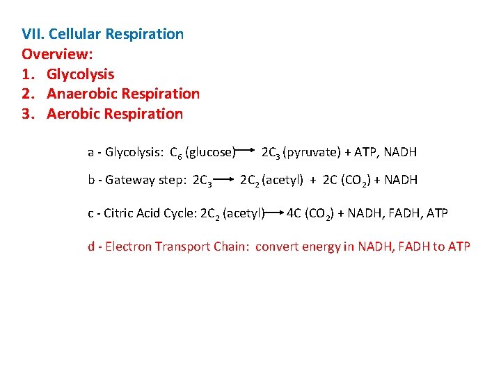 VII. Cellular Respiration Overview: 1. Glycolysis 2. Anaerobic Respiration 3. Aerobic Respiration a -