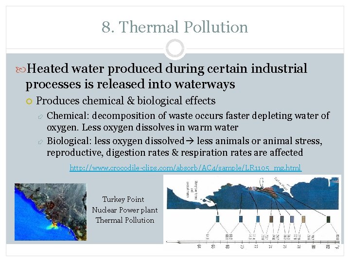 8. Thermal Pollution Heated water produced during certain industrial processes is released into waterways