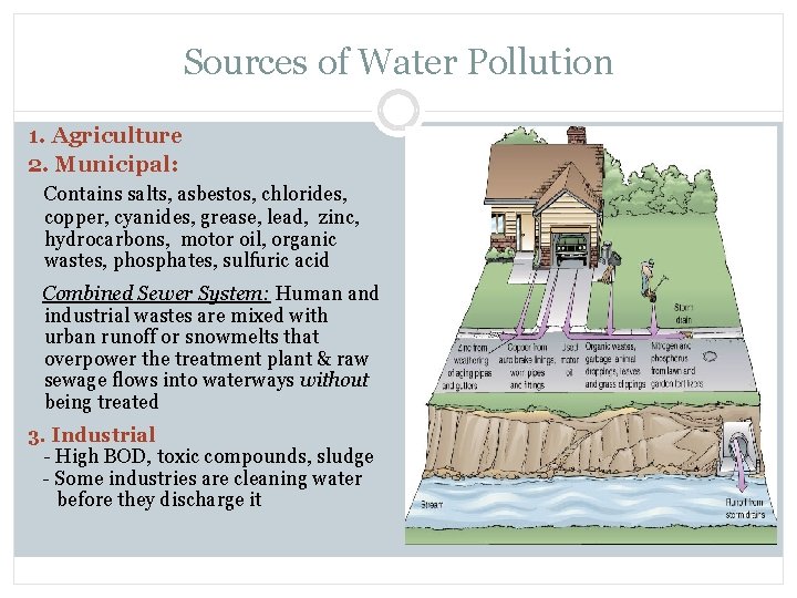 Sources of Water Pollution 1. Agriculture 2. Municipal: Contains salts, asbestos, chlorides, copper, cyanides,